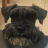 www.pedrorostagno.ar favicon
